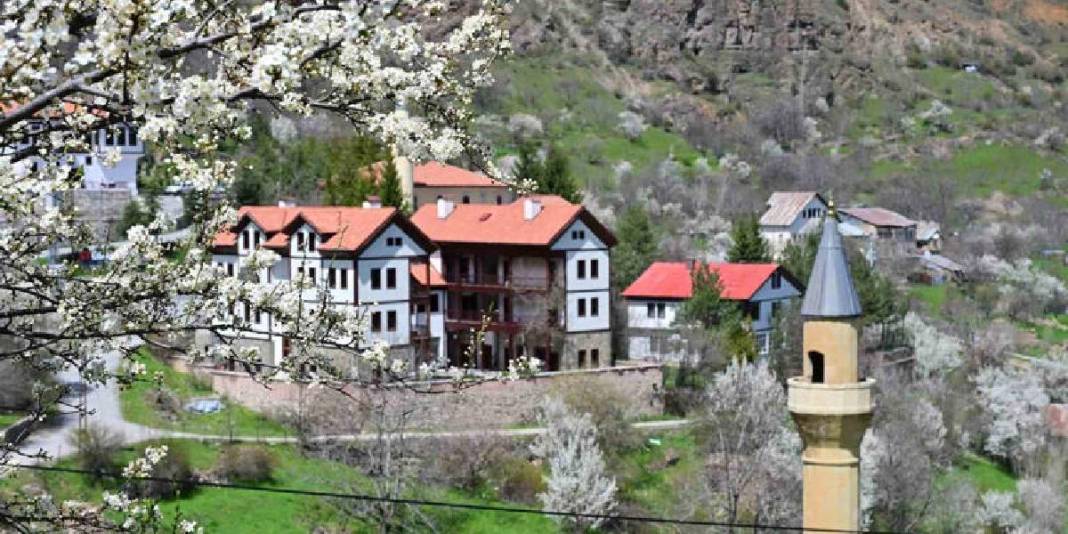 2 zıt beyaz aynı tepede buluştu! Gümüşhane’nin yüz yıllık mirası göz doldurdu 9
